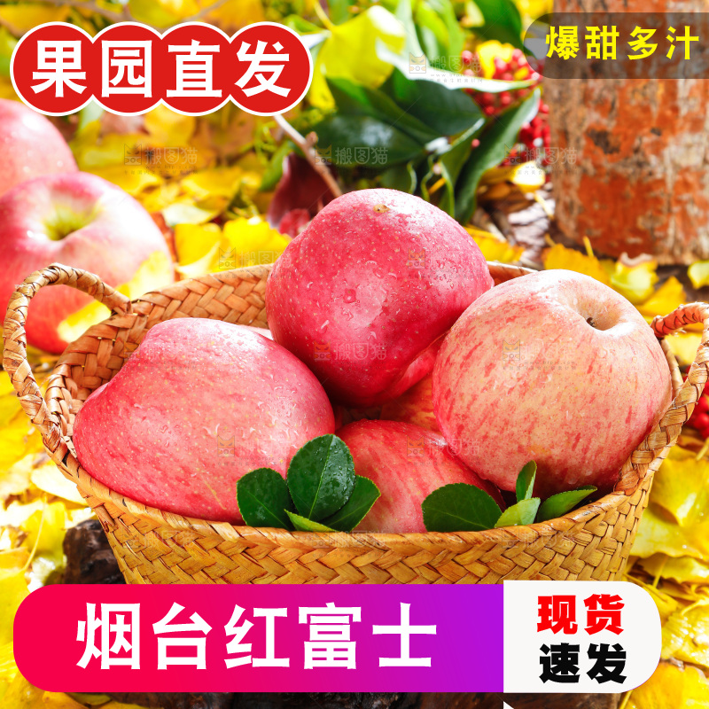 浅底上的红富士苹果