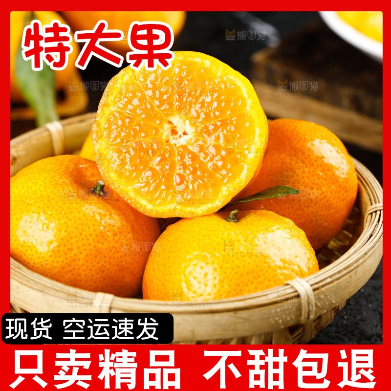 深底上的沙糖橘