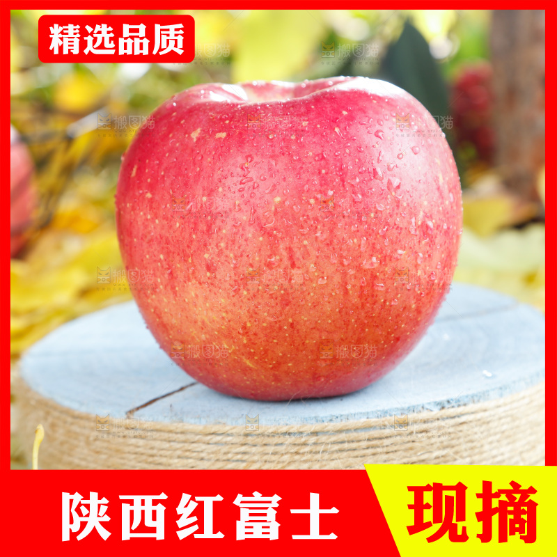 浅底上的红富士苹果