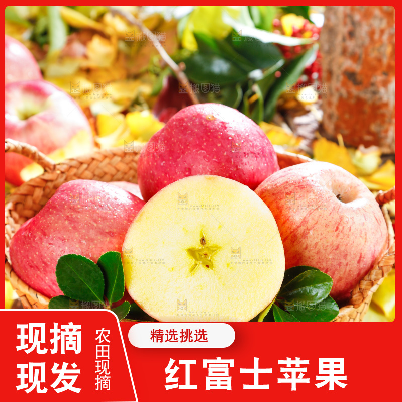 浅底上的红富士苹果