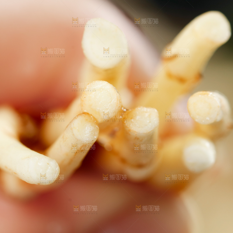 深底上的折耳根