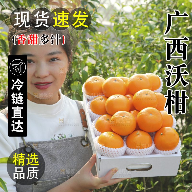 礼盒里装着的沃柑