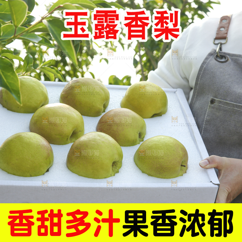 礼盒里的玉露香梨