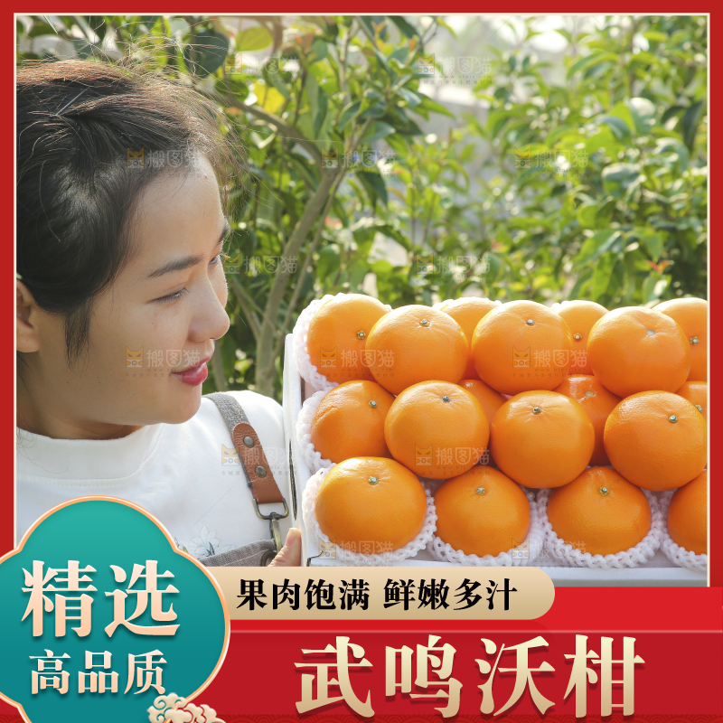 礼盒里装着的沃柑