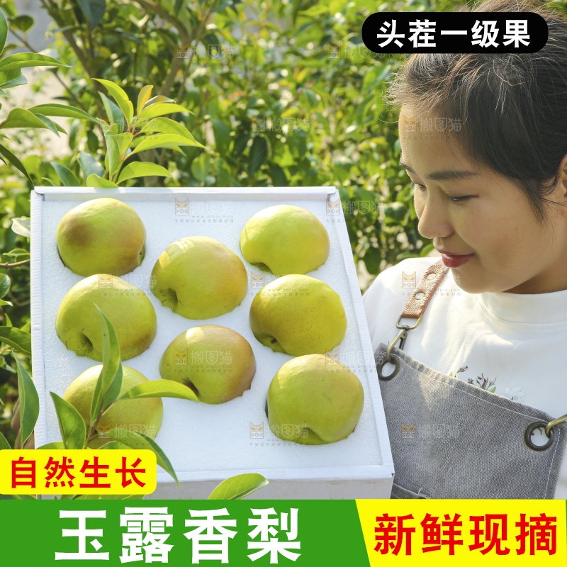 礼盒里的玉露香梨