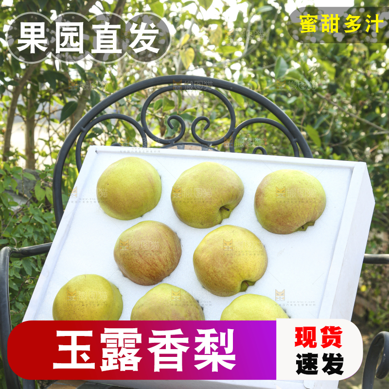 礼盒里的玉露香梨