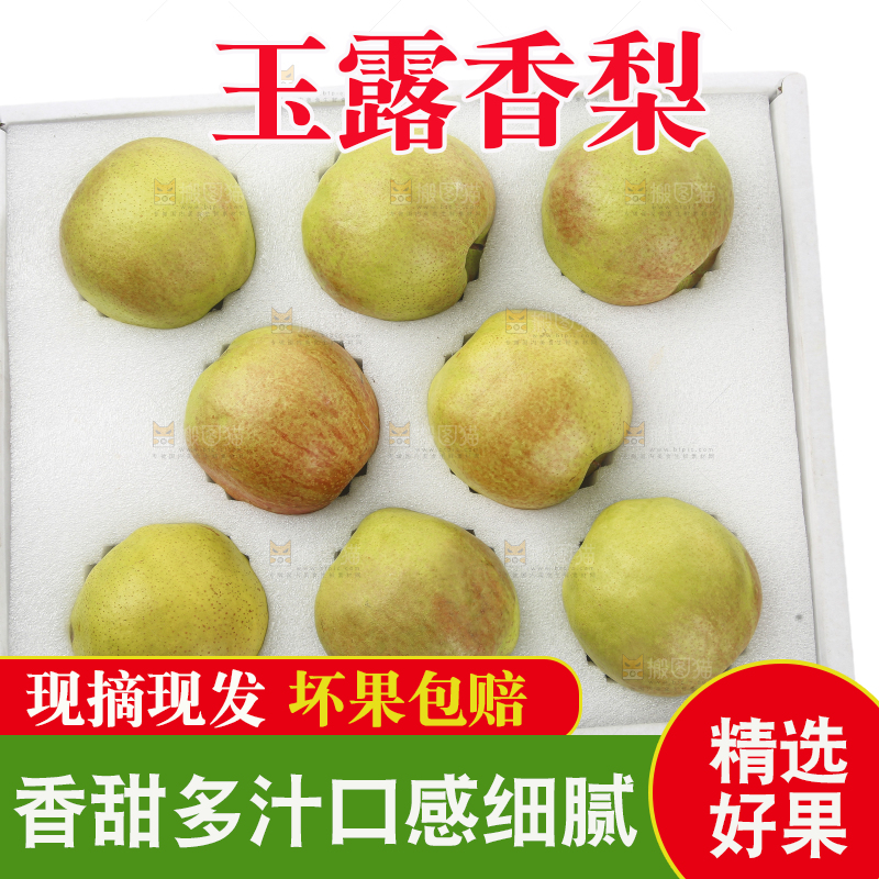 白底上的玉露香梨