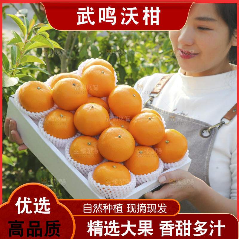 礼盒里装着的沃柑
