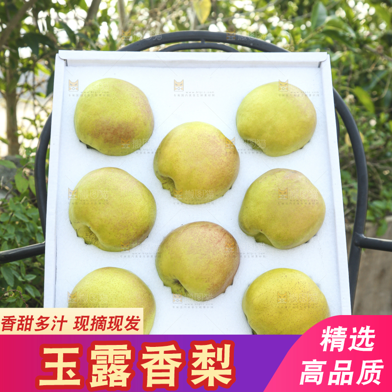 礼盒里的玉露香梨