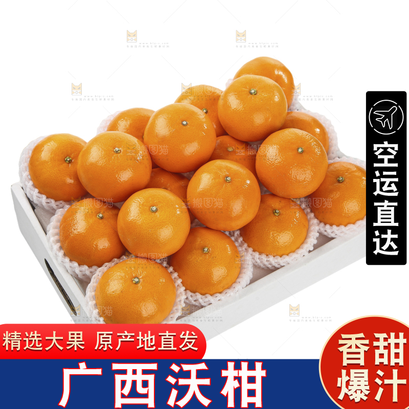 白底上的沃柑