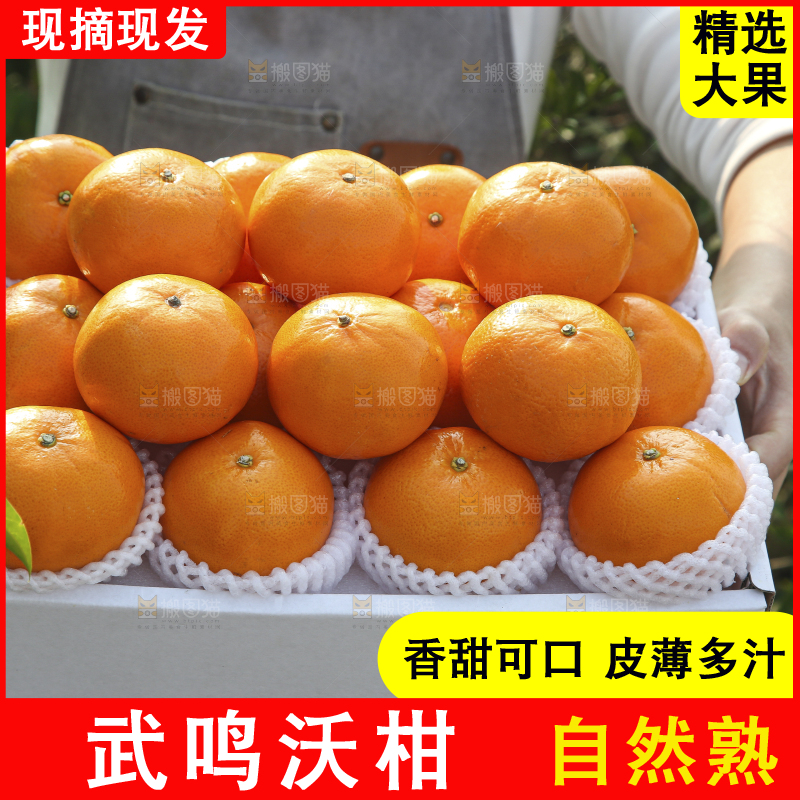 礼盒里装着的沃柑