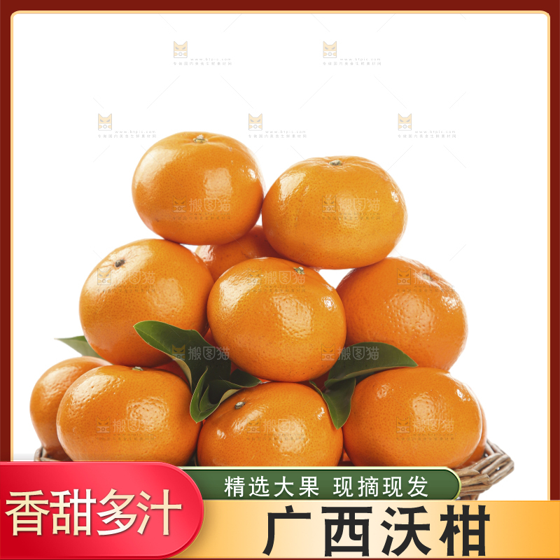 白底上的沃柑