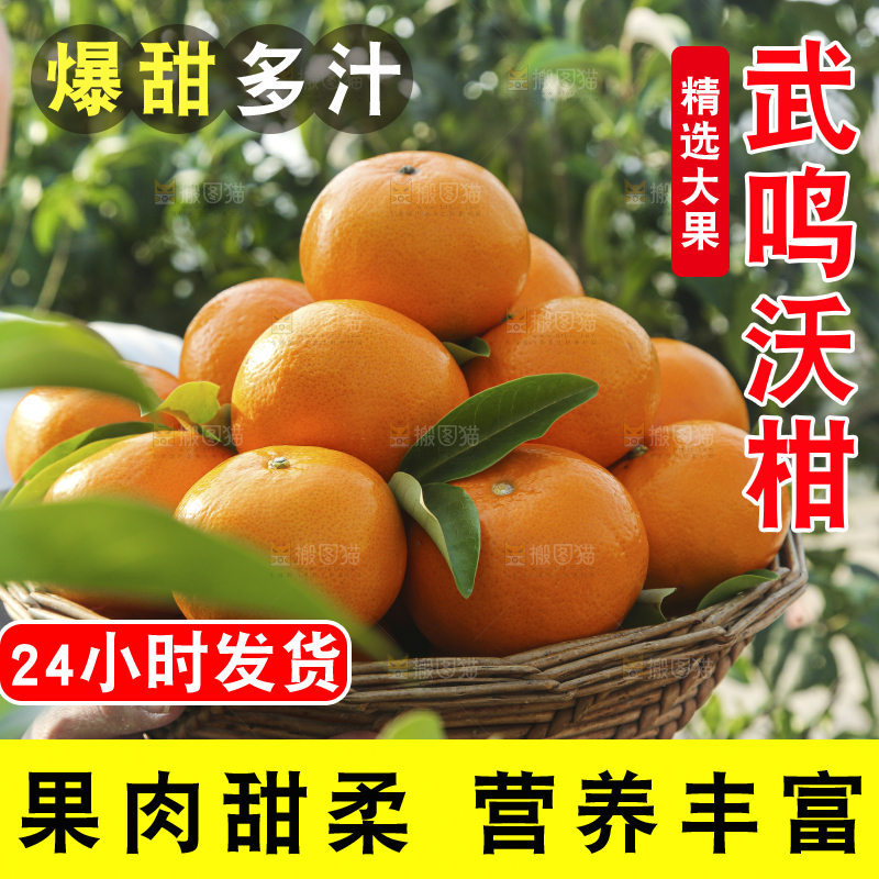 手里拿着沃柑