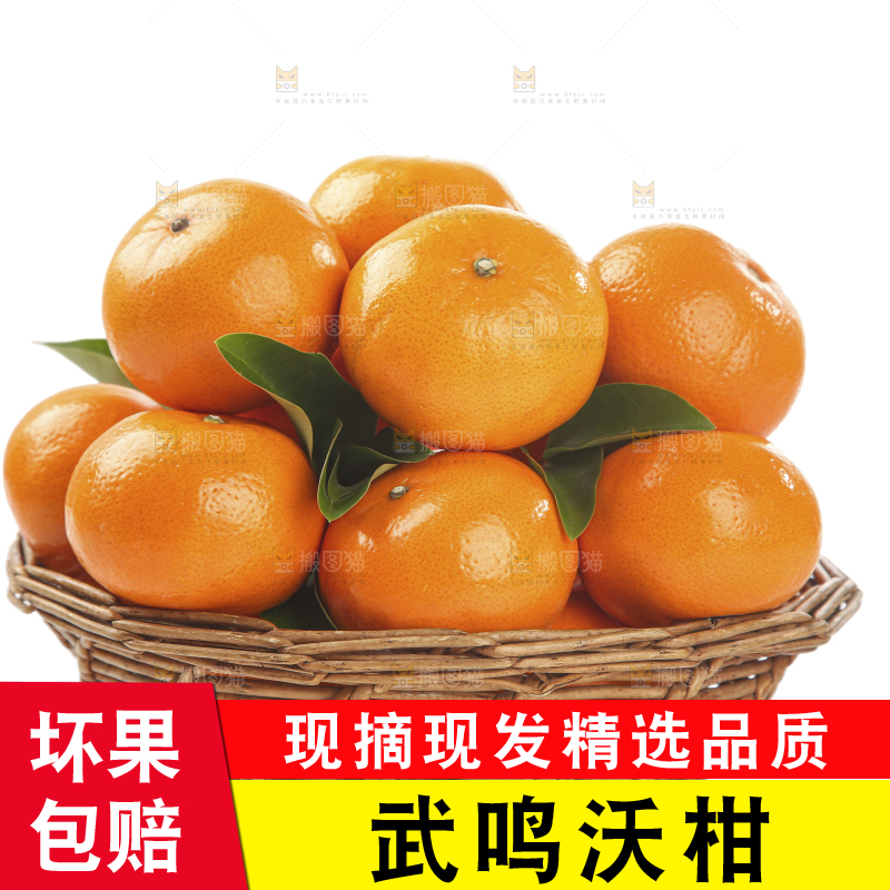 白底上的沃柑