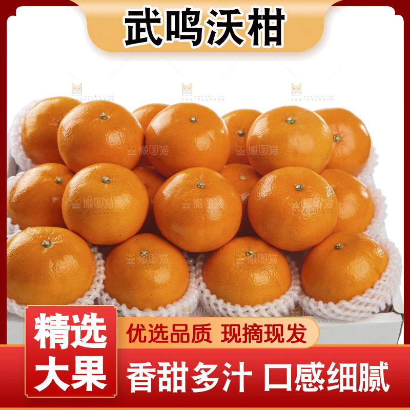白底上的沃柑
