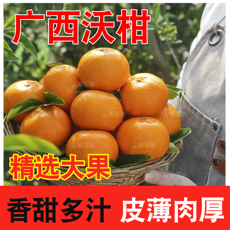 手里拿着沃柑