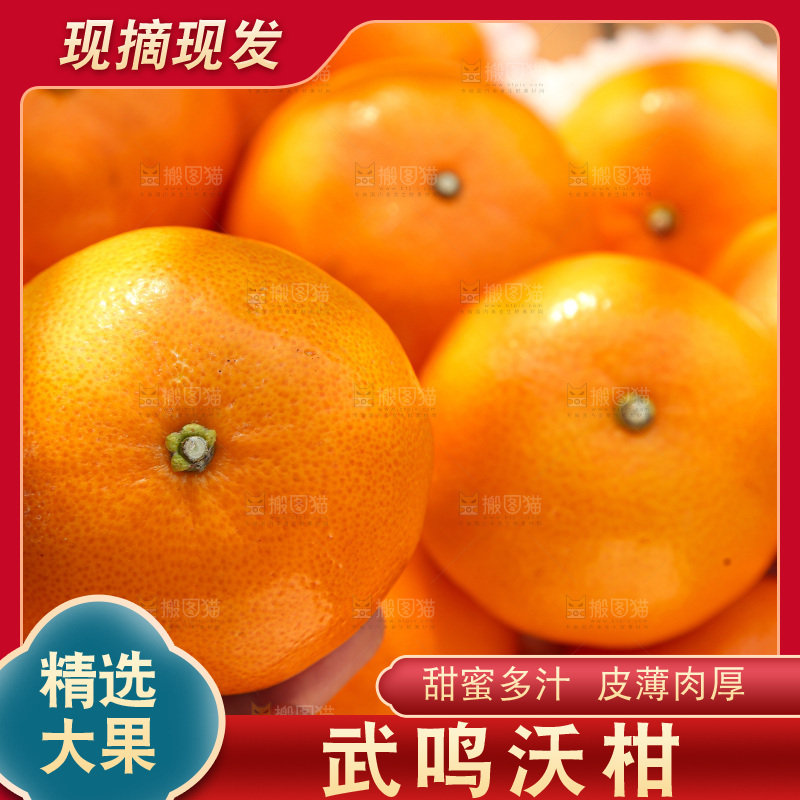 礼盒里装着的沃柑
