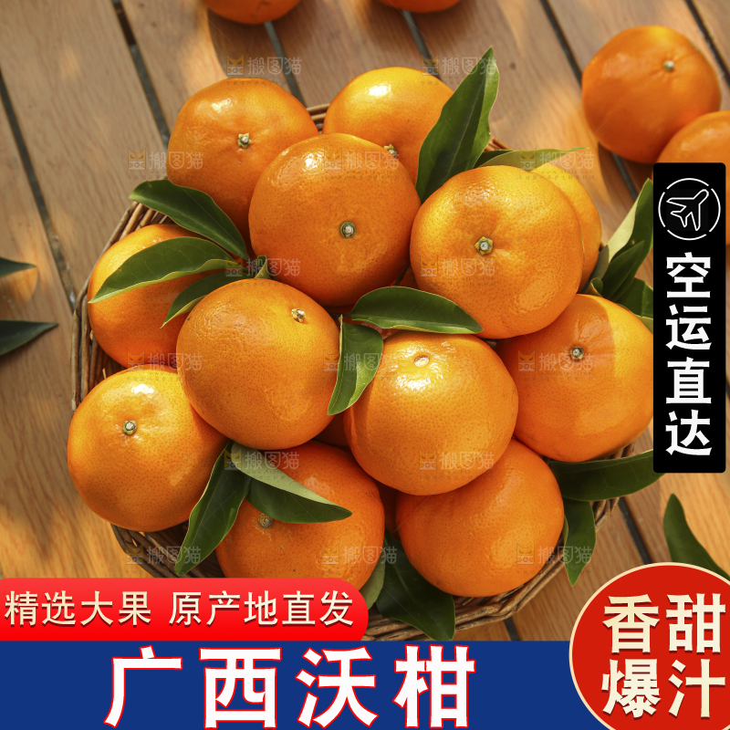 手里拿着沃柑