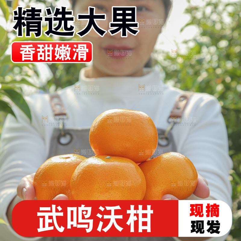 手里拿着沃柑