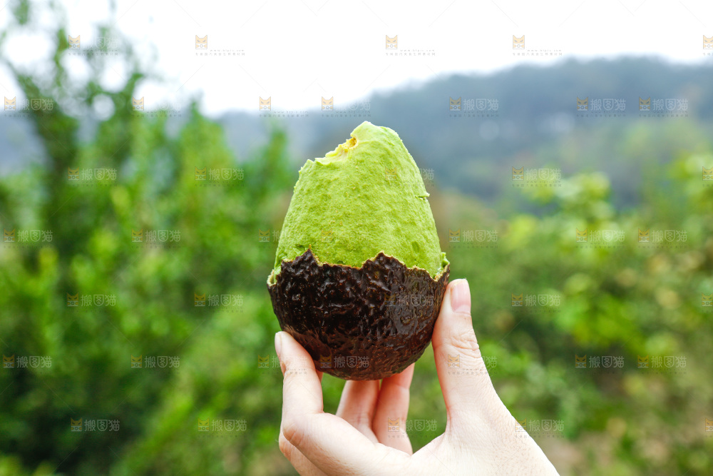 手里拿着个牛油果