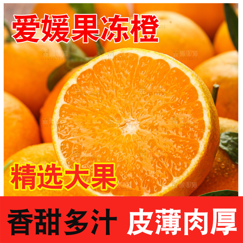 深底上的爱媛果冻橙