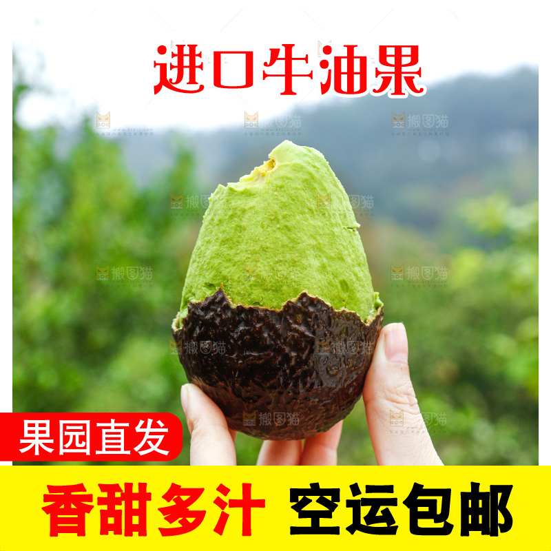 手里拿着个牛油果