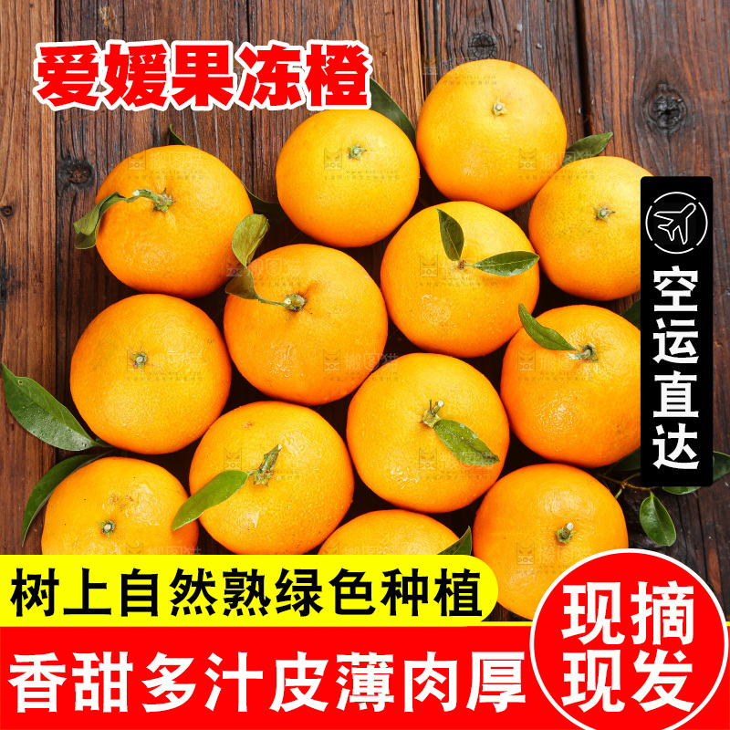 深底上的爱媛果冻橙