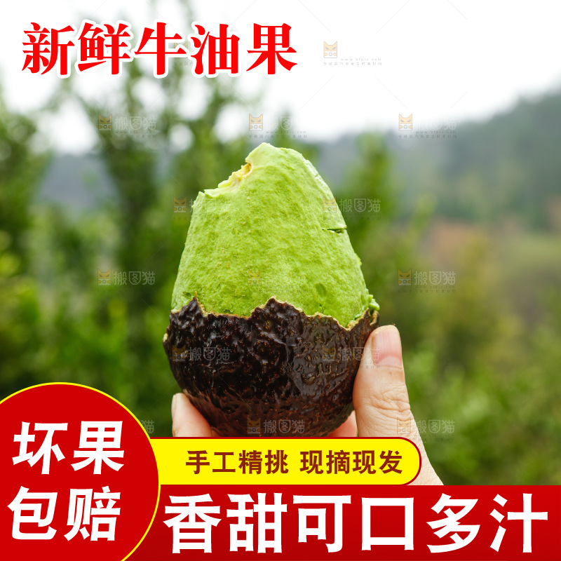 手里拿着个牛油果