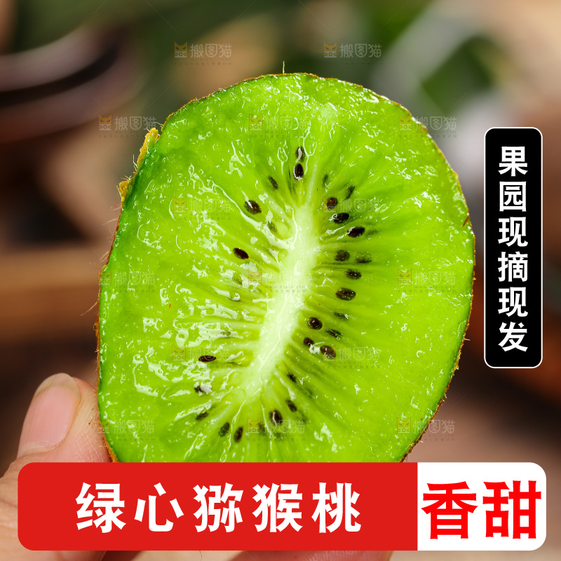 深底上的徐香猕猴桃