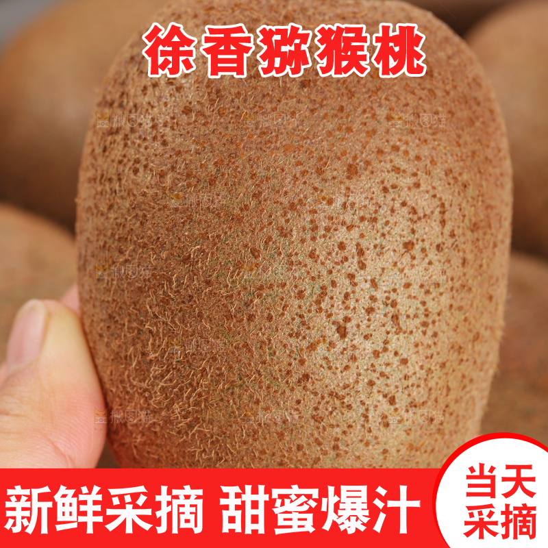 白底上的徐香猕猴桃