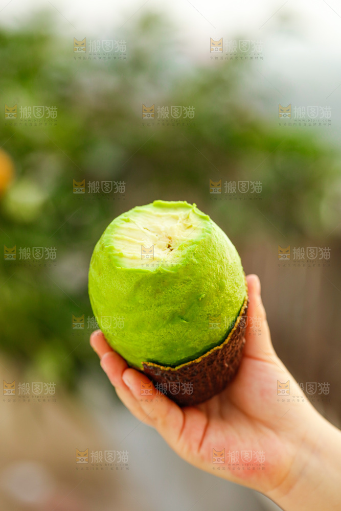 手里拿着巨无霸牛油果