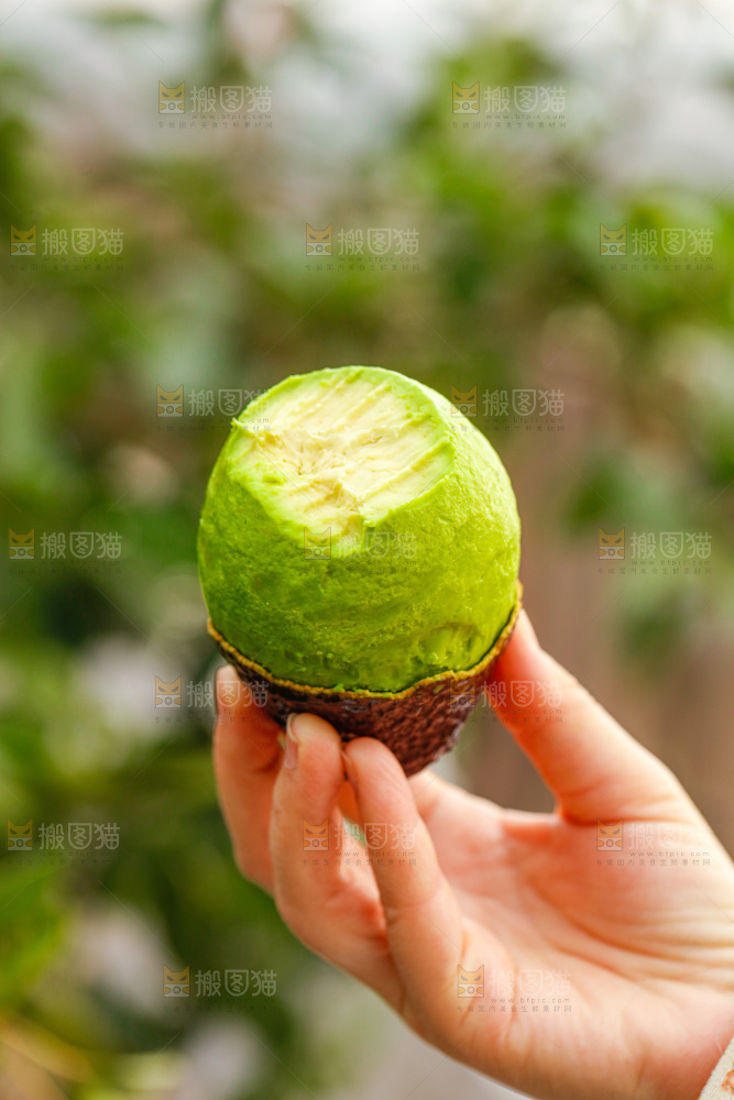 手里拿着巨无霸牛油果