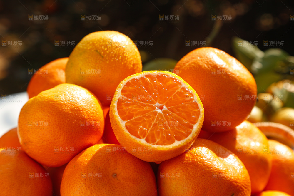 手里拿着新鲜蜜桔