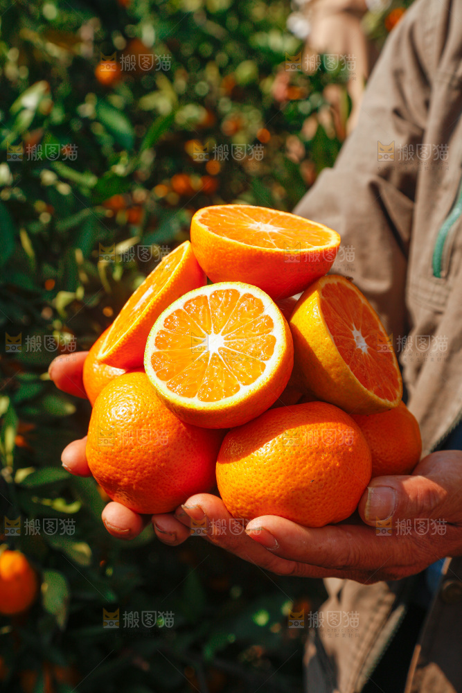 手里拿着新鲜蜜桔
