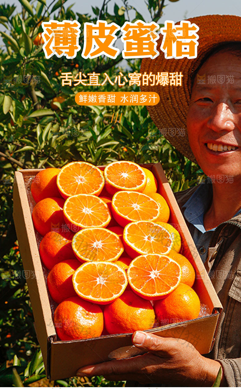 薄皮蜜桔详情页