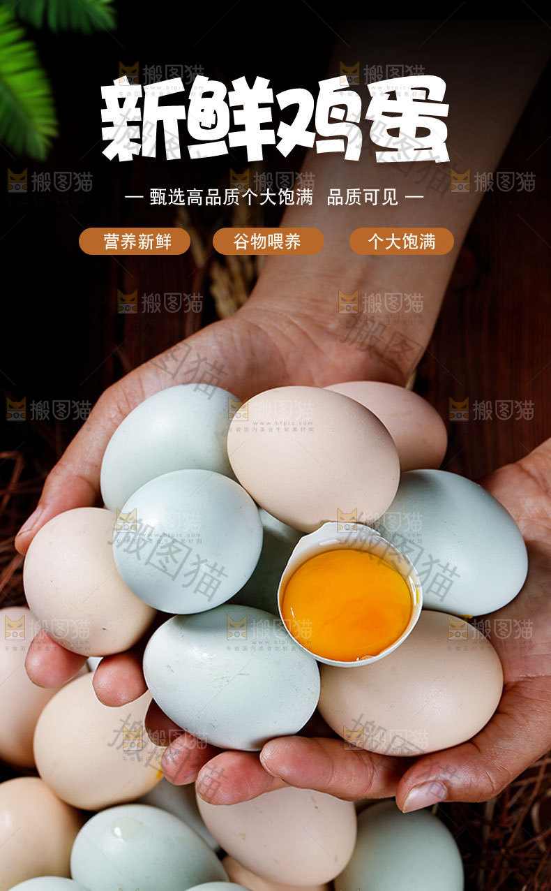 绿壳鸡蛋详情页