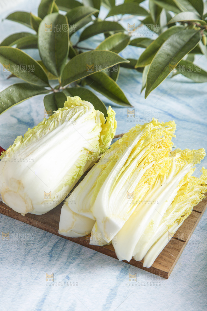 浅底上的娃娃菜