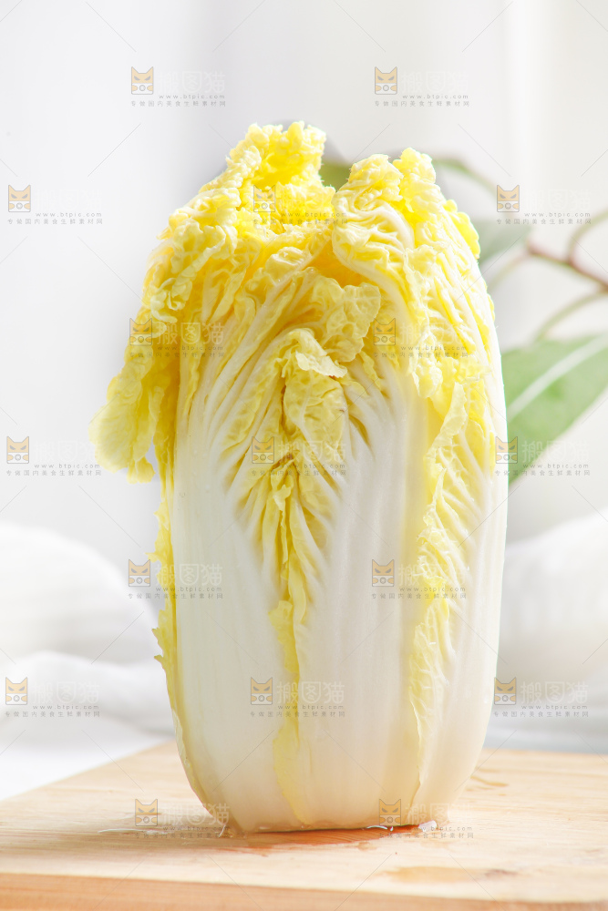 浅底上的娃娃菜