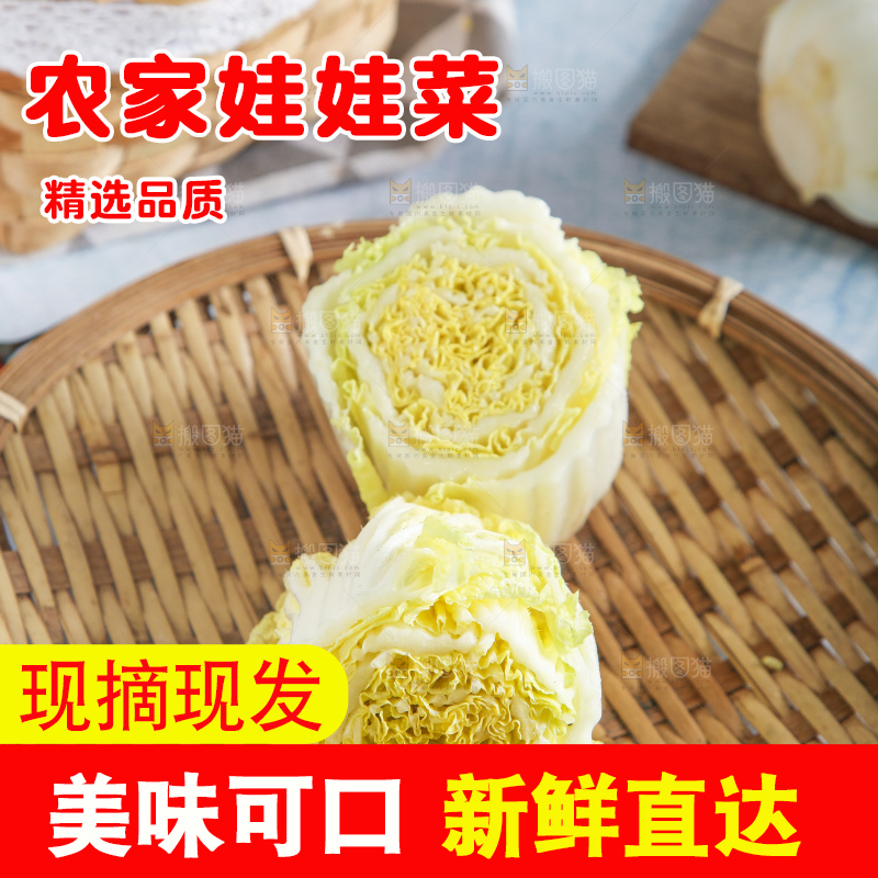 浅底上的娃娃菜