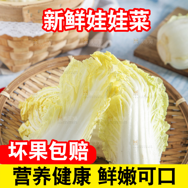 浅底上的娃娃菜