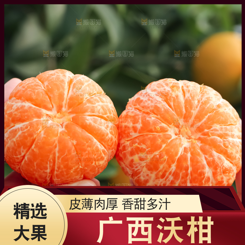 手里拿着新鲜沃柑
