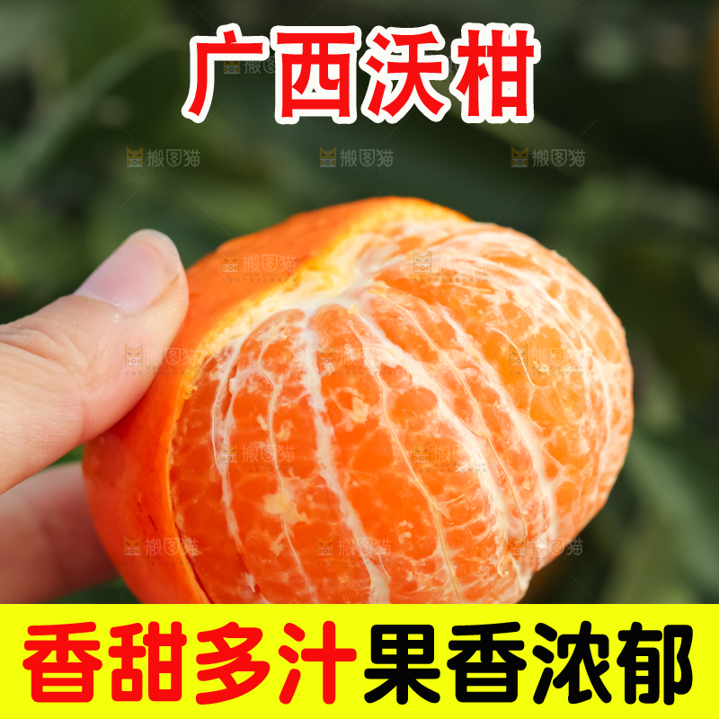 手里拿着新鲜沃柑