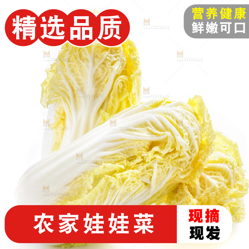 白底上的娃娃菜