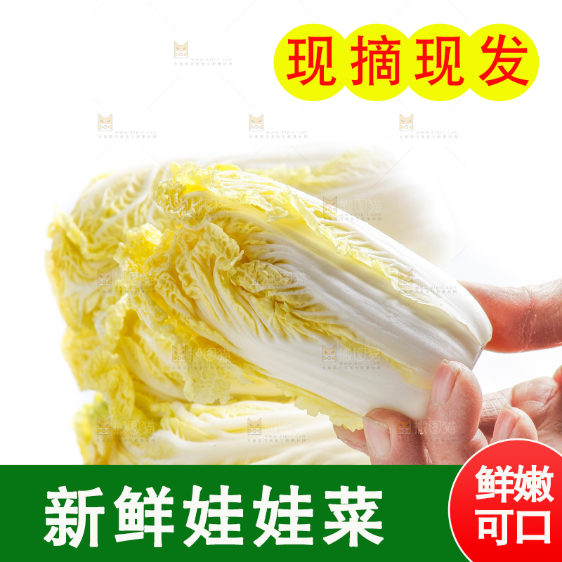 白底上的娃娃菜