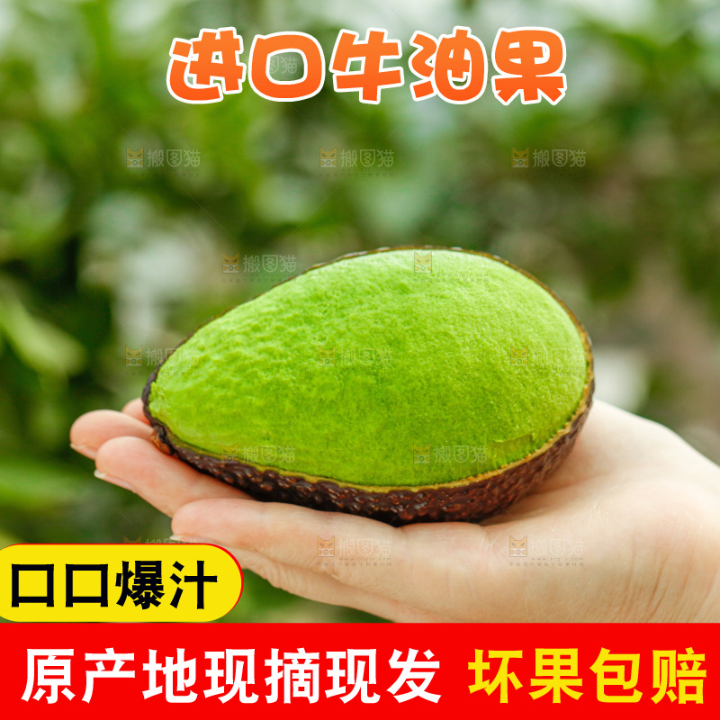 手里拿着巨无霸牛油果