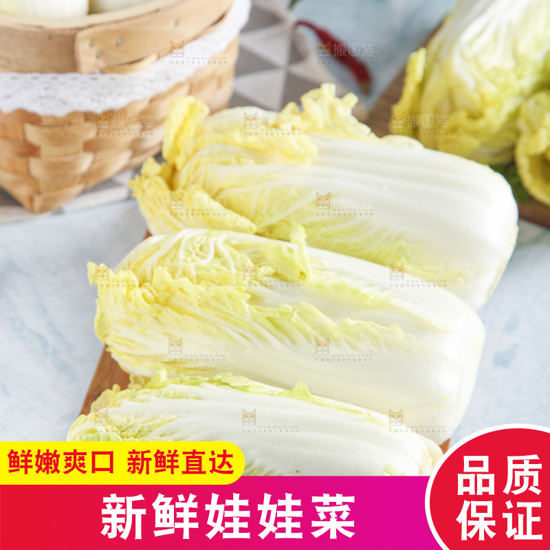 浅底上的娃娃菜