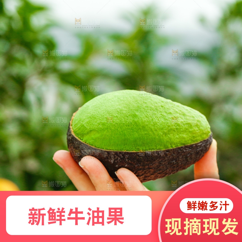 手里拿着巨无霸牛油果