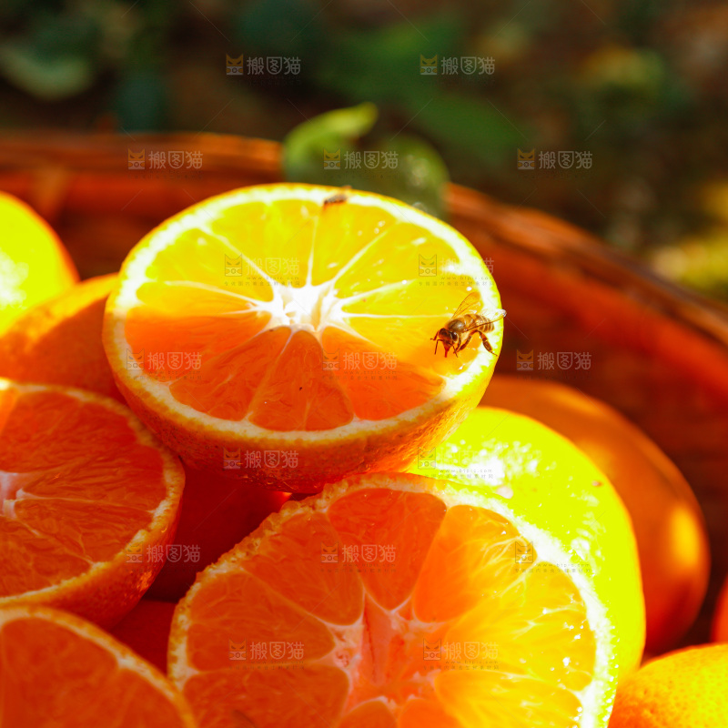 手里拿着新鲜蜜桔