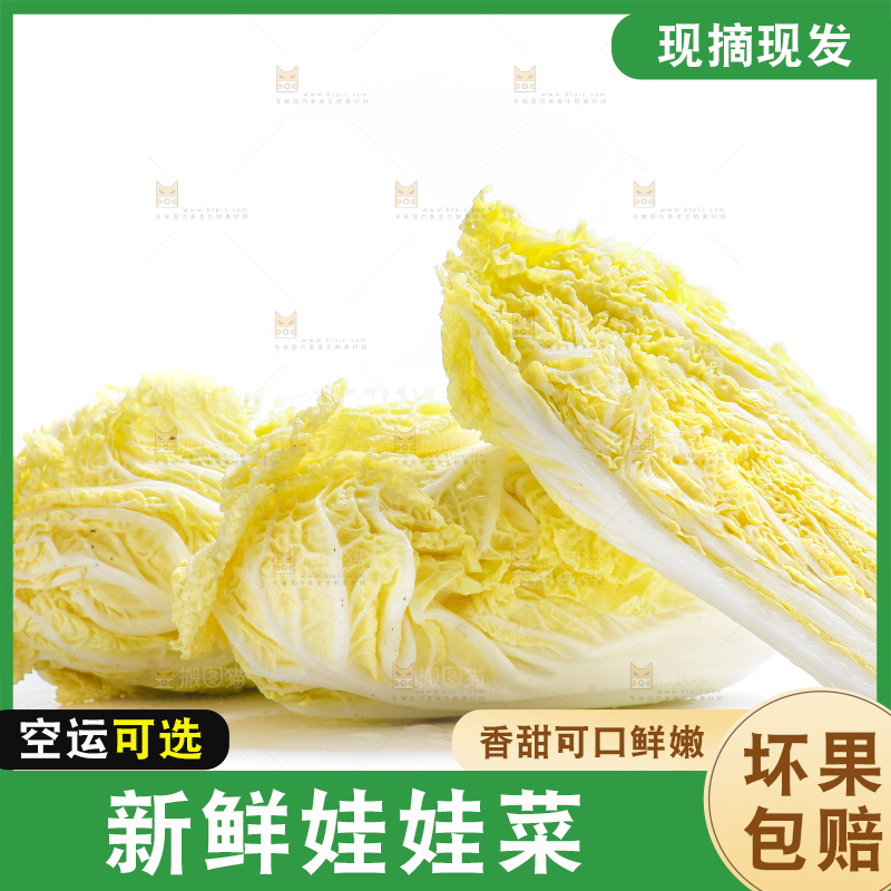 白底上的娃娃菜