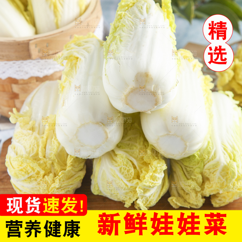 浅底上的娃娃菜